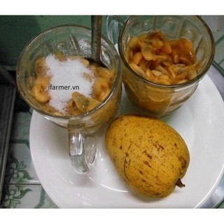 cây giống bình bát