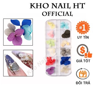 Set hoa khô cánh to gắn móng, hộp hoa khô làm móng