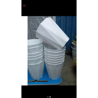 Combo 15 chậu kim cương trắng 30x40 + 10 chậu kim cương trắng 26x30 + 8 chậu kim cương trắng + đĩa nhỏ 20x22