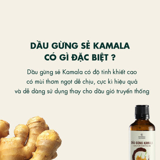 Dầu gừng Kamamila massage body giúp giảm đau xương khớp, giữ ấm cơ thể, giảm mỡ bụng - 100% từ gừng sẻ nguyên chất