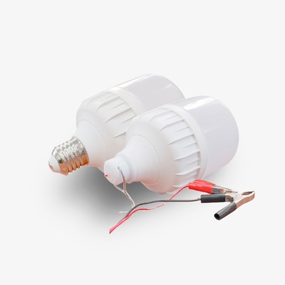 Bóng Đèn LED Kẹp Bình Ắc Quy 12V - 24V DC 20W Rạng Đông
