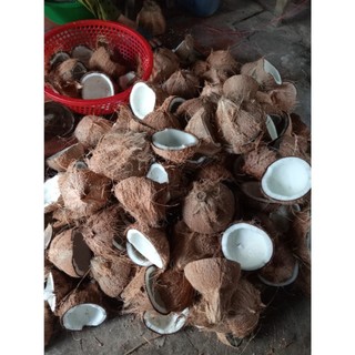 2 Trái  Dừa khô Bến Tre nhà trồng