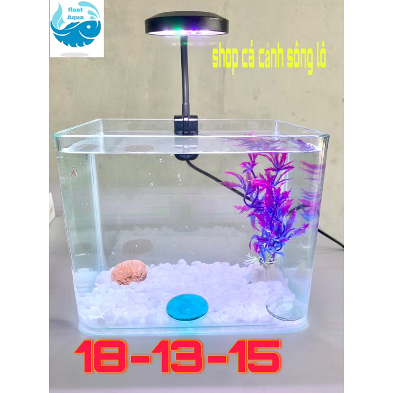 Combo bể cá đúc mini siêu trong 18-13-15