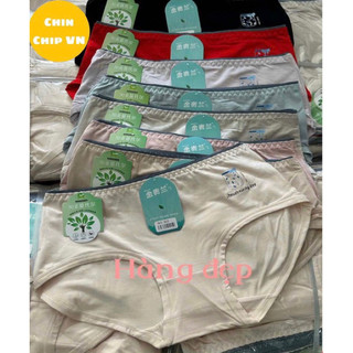 Quần lót nữ cotton quảng châu cao cấp size 40-52kg