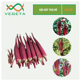 Hạt giống đậu bắp đỏ 10gr - vegetashop - hạt giống king phương đông