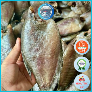 Khô cá sặc vị lợ làm gỏi khô cá bổi, khô cá lò tho đủ nắng - cá khô cà mau