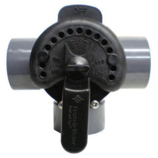 Van 3 Cửa Pentair 263028 PVC Phi 60