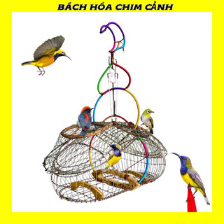 Lồng bẫy chim hút mật, khuyên, ốc mít, sâu phom sài gòn quấn titan