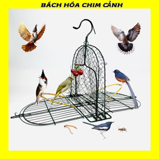 Lồng Mẹt Bẫy Chim Chào Mào, Chòe, Khướu, Hoành Hoạch..Mẹt Bẫy Chim Đa Năng