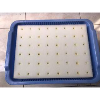 Mút xốp ươm hạt giống trồng rau thủy canh Nhật Bản có lỗ, cắt rãnh chữ thập. Mềm mịn, giữ ẩm tốt, tăng tỷ lệ nảy mầm