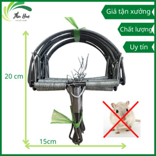 Bẫy Chuột Bán Nguyệt Cỡ Lớn Đường Kính 15 cm, Siêu Nhạy, Giá Rẻ Tại Xưởng, Bẫy Hiệu Quả