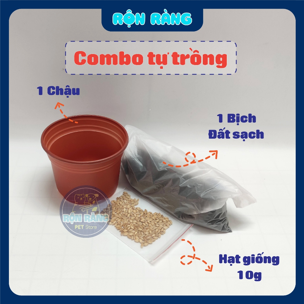 Combo tự trồng cỏ lúa mì cho mèo [Chậu + Đất + Hạt]