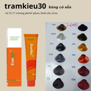 Thuốc Nhuộm Tóc Everflor 100ML BẢNG 3