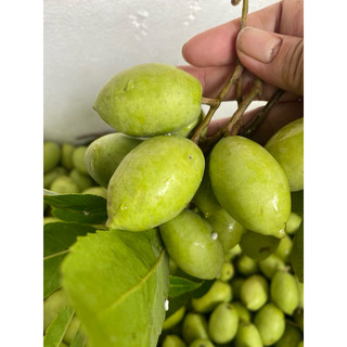 Cà na thái đập trộm kiểu thái chua ; ngọt ; cay ; mận , cà na trái tươi .