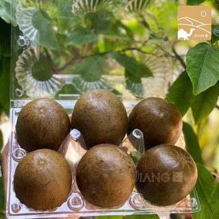 La Hán Quả La Hán Đen (sấy nhiệt) Thượng Hạng JIANG