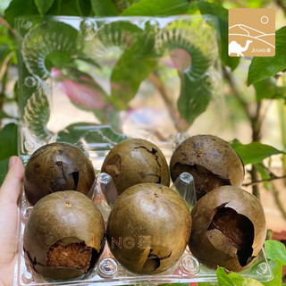 La Hán Quả La Hán Đen (sấy nhiệt) Thượng Hạng JIANG