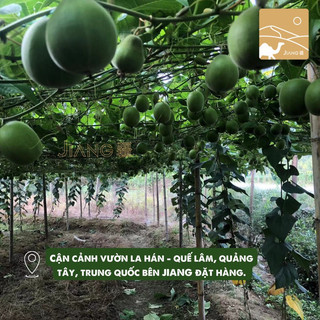 La Hán Quả La Hán Đen (sấy nhiệt) Thượng Hạng JIANG