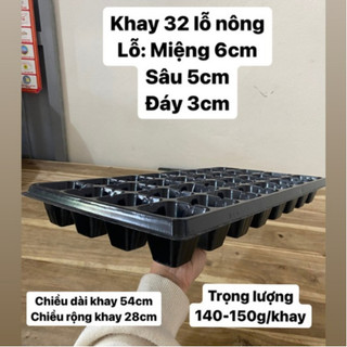 5 khay ươm hạt 32 lỗ nông (bầu ,túi ươm cây giống, keo liền sẹo cây, v6 thông minh....)