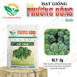 HẠT GIỐNG CẢI KALE 2gr - MUA 3 TẶNG 1 CÙNG LOẠI