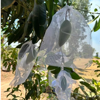    20x30cm   100 Cái Túi Lưới Bao Xoài Chùm Mận Bơ 034 Dưa Lưới,...Túi Bao Trái Cây 