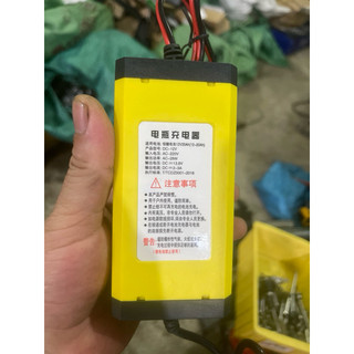 sac binh ác quy 12v 2a
