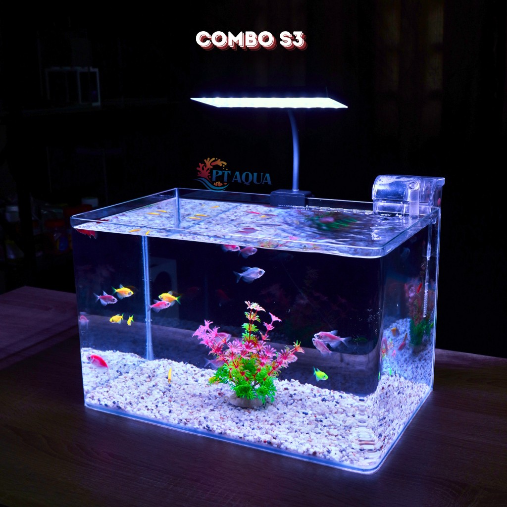 Bể cá mini Đúc uốn cong 40x24x25cm để bàn Với nhiều mẫu lựa chọn có kèm phụ kiện sỏi nền và cây nhựa