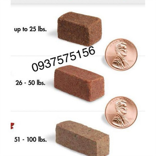 Vị Yêu Thích Cho Cún mọi lứa tuổi
