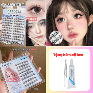  Lông Mi Giả Tách Sợi Trang Điểm Tự Nhiên Anime Cho Đôi Mắt Cuốn Hút Faiccia kèm bộ keo 4 món Cao Cấp 