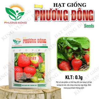 HẠT GIỐNG DÂU TÂY 0.1gr - MUA 3 TẶNG 1 CÙNG LOẠI - HẠT GIỐNG KING PHƯƠNG ĐÔNG
