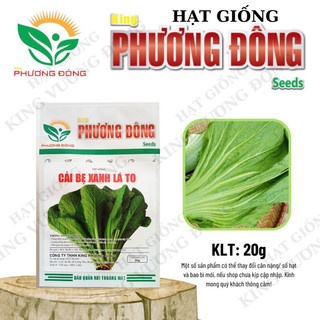 Hạt giống cải bẹ xanh lá to 20gr - mua 3 tặng 1 cùng loại
