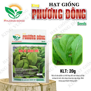 Hạt giống cải bẹ xanh mỡ 20gr - mua 3 tặng 1 cùng loại