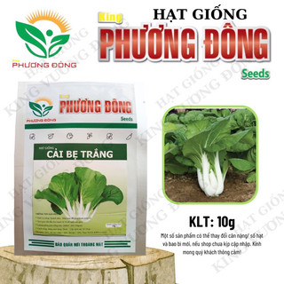 Hạt giống cải bẹ trắng 10gr - mua 3 tặng 1 cùng loại