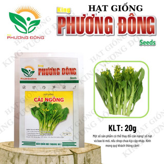 Hạt giống cải ngồng 20gr - mua 3 tặng 1 cùng loại - hạt giống king phương đông