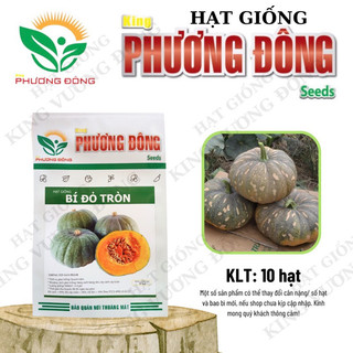 HẠT GIỐNG BÍ ĐỎ TRÒN 10 Hạt - MUA 3 TẶNG 1 CÙNG LOẠI