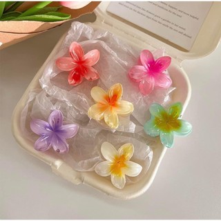 Kẹp tóc gấp tóc hoa sứ mini nhiều màu sắc thời trang