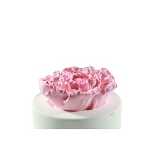 Đá thơm tinh dầu Leviter - Aroma Stone Diffuser Leviter FR 679