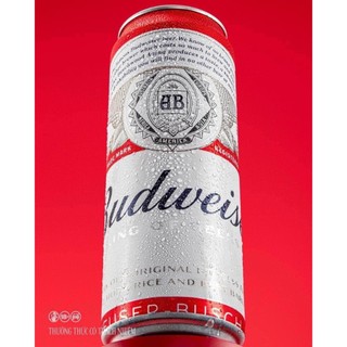Bia Budweiser_24 lon_330ml - [ Ship Siêu Tốc HCM ]
