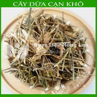 Thảo dược CÂY DỪA CẠN khô sạch đóng gói 500gram - congtyduoclieuhonglan