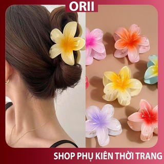 Kẹp tóc hoa sứ,Kẹp Tóc Hình Hoa Nhiều Màu Sắc Phong Cách Hawaii,Kẹp Tóc Hình Bông Hoa Xứ Xinh Xắn Dành Cho Nữ