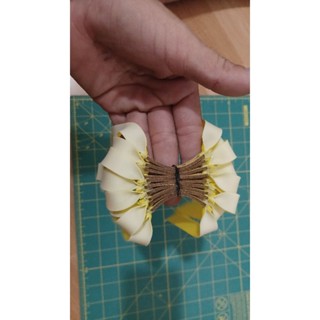 5 bộ 065 thun adam cột sẵn khổ tới má