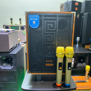Loa kéo BNIB B8 Vỏ gỗ cao cấp, tặng 2 micro hút âm
