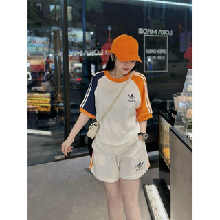 Bộ cốt tông bầu chất đẹp.