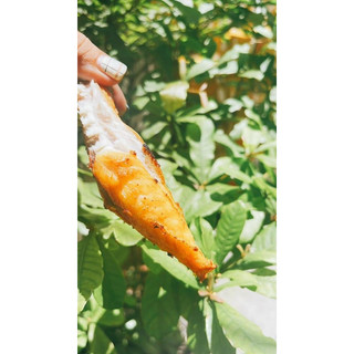 1kg Cá đùi gà 1 nắng (hoả tốc tphcm)