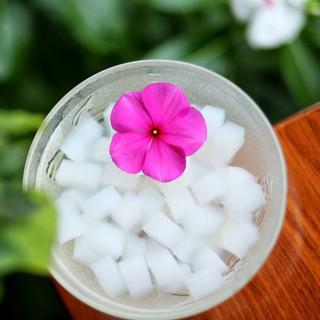 Thạch Dừa Minh Châu Bến Tre 1 kg