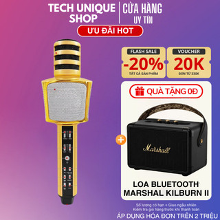 Mic bluetooth kèm loa sd17 âm thanh trong và ấm cực hay