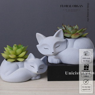 Chậu xi măng trồng sen đá, Chậu trồng cây phong cách cổ điển, Chậu hoa mini decor trang trí - Floral Organ