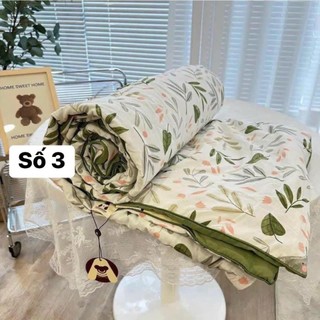 Chăn mền chần bông mỏng cực mềm mại KT 2*2.3m siêu to họa tiết xinh xắn
