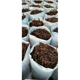 1kg RỄ DỪA MỤC  khô