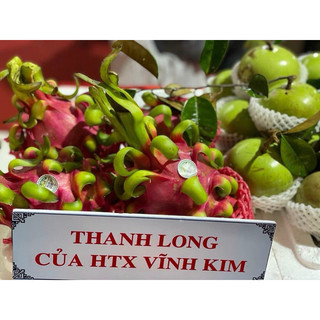 thanh long đỏ