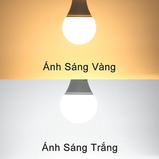 Bóng đèn led tròn kín nước 3w